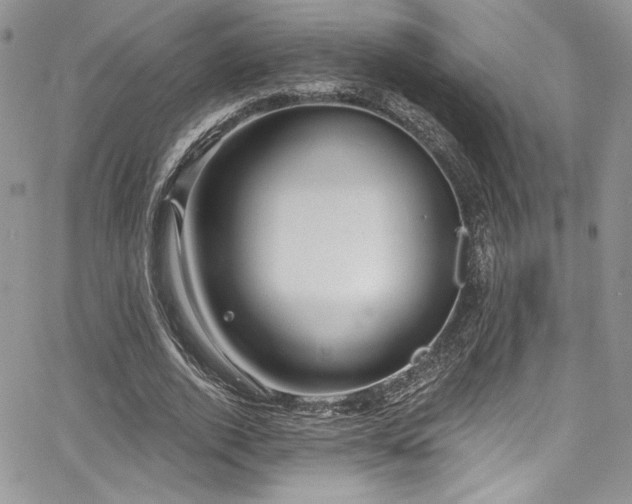 X0000068270728200604211109