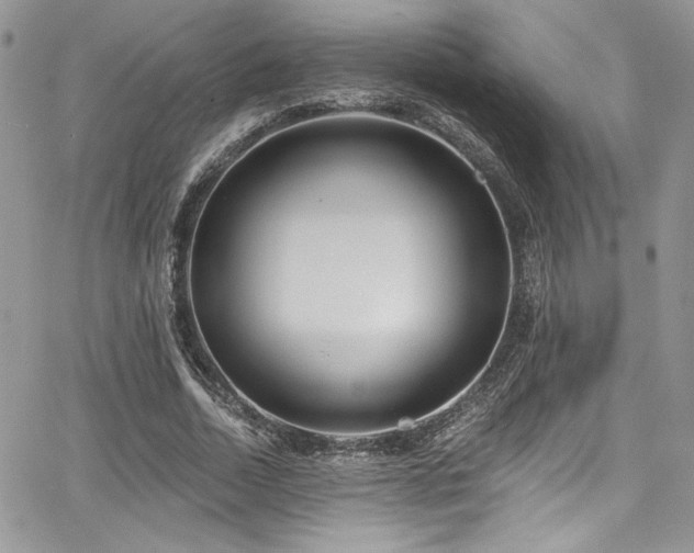 X0000068270730200604211109