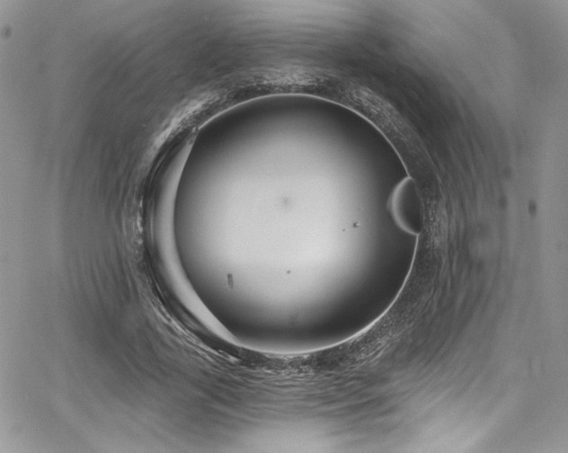 X0000068270731200604211109