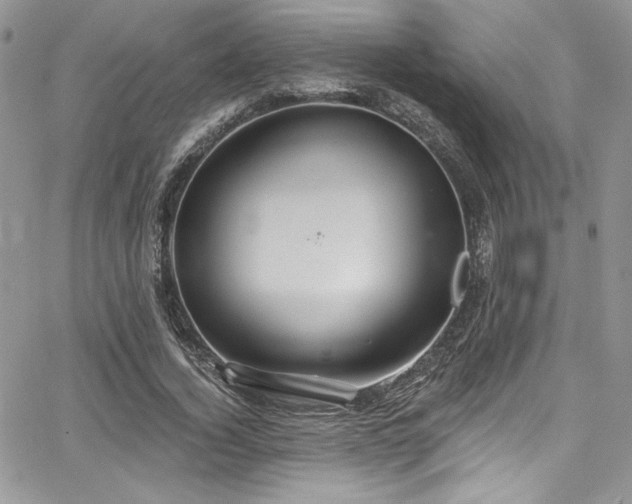 X0000068270732200604211109