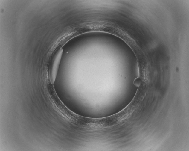 X0000068270733200604211109