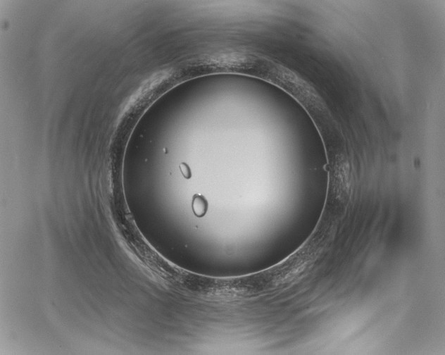 X0000068270734200604211109