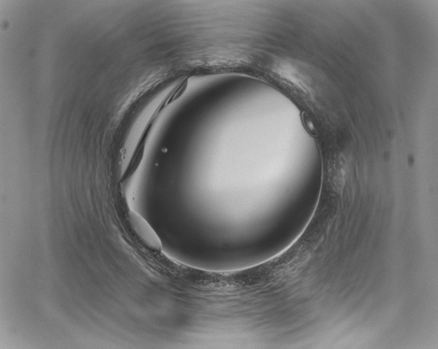 X0000068270735200604211109