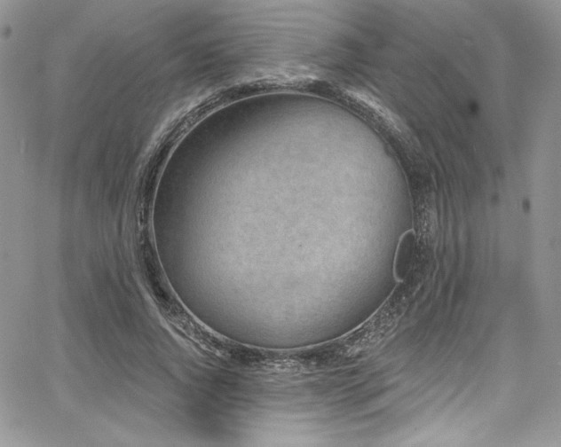 X0000068270736200604211109