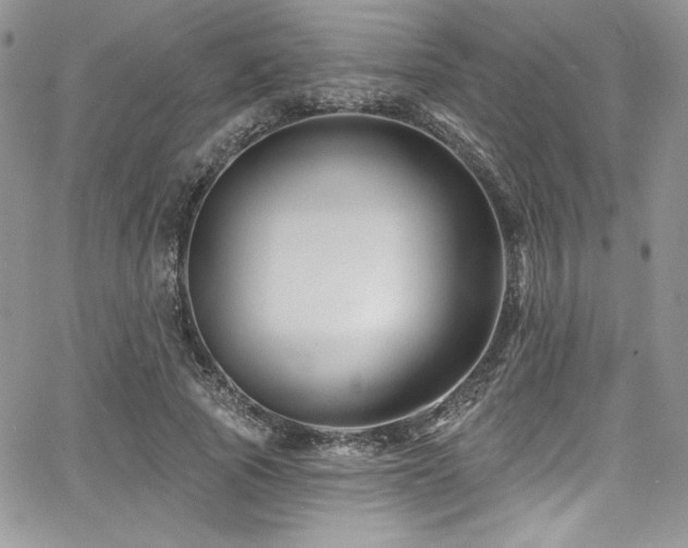 X0000068270737200604211109