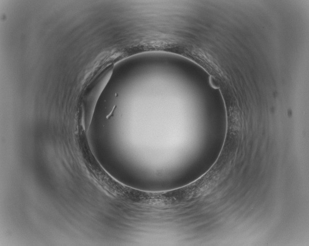 X0000068270738200604211109