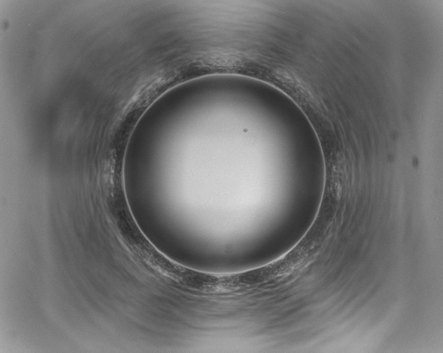 X0000068270739200604211109