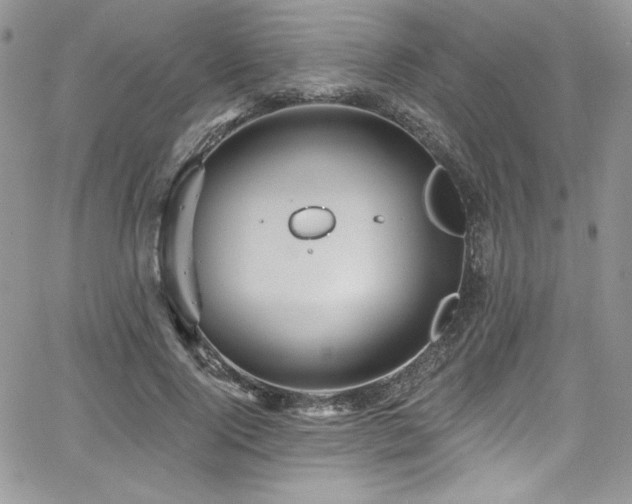 X0000068270740200604211109