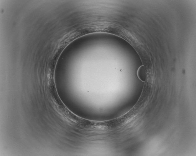 X0000068270741200604211109