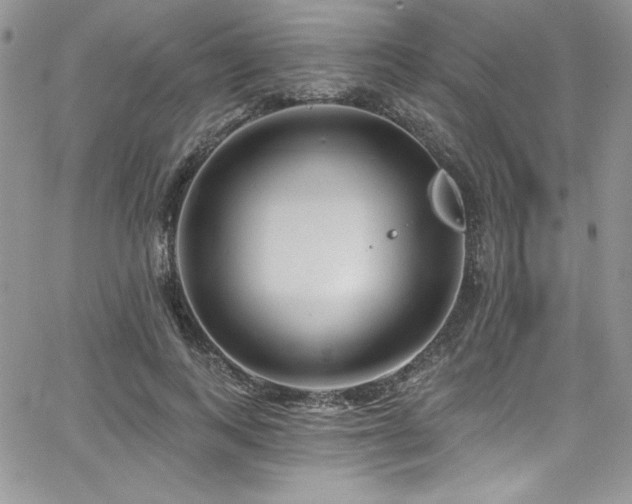 X0000068270743200604211110