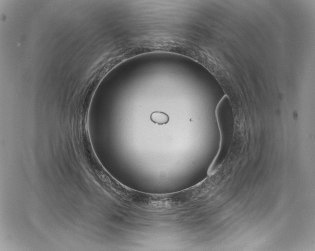 X0000068270744200604211110