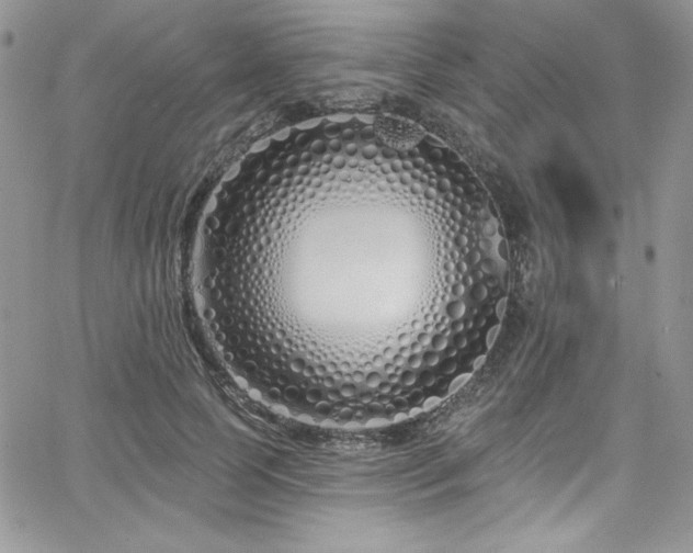 X0000068270745200604211110