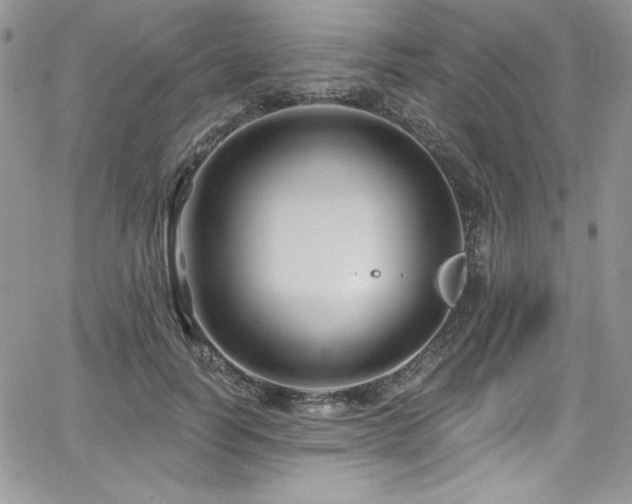 X0000068270746200604211110