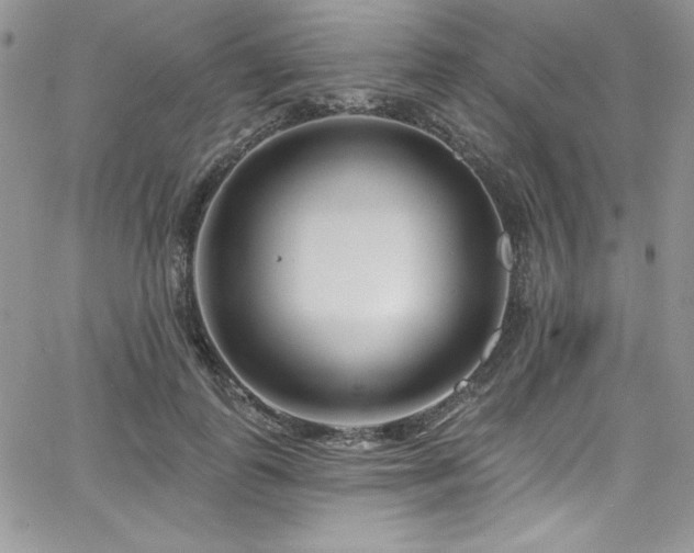 X0000068270747200604211110