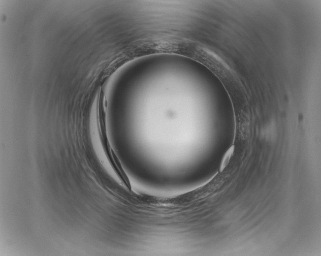 X0000068270748200604211110