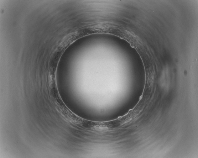 X0000068270749200604211110