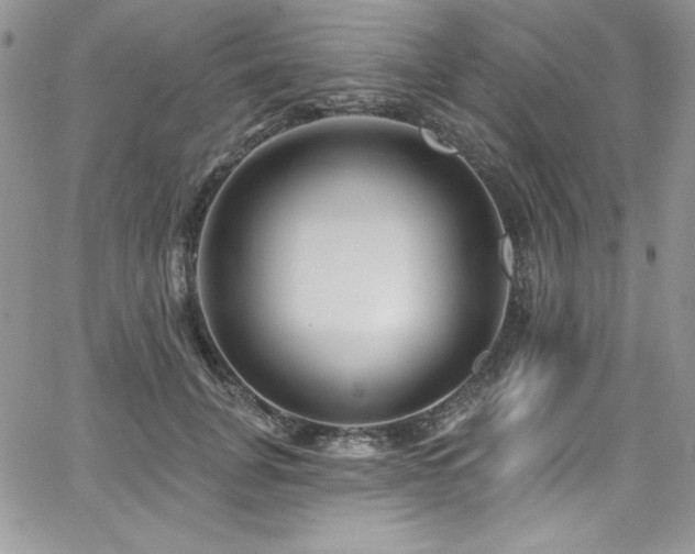 X0000068270751200604211110