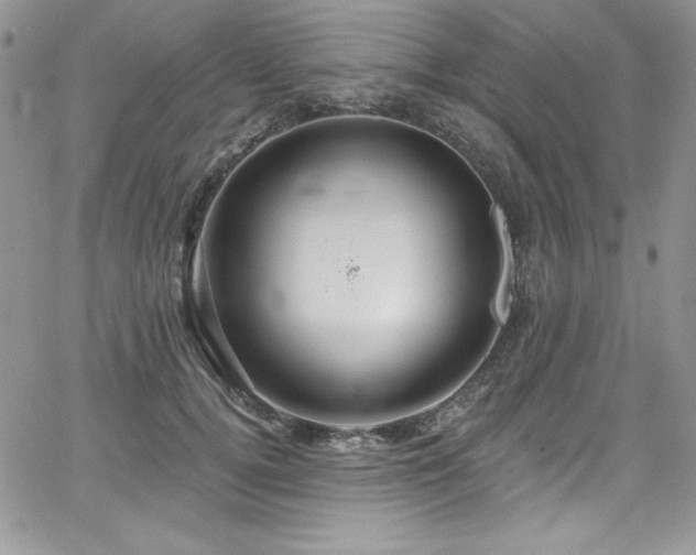 X0000068270752200604211110