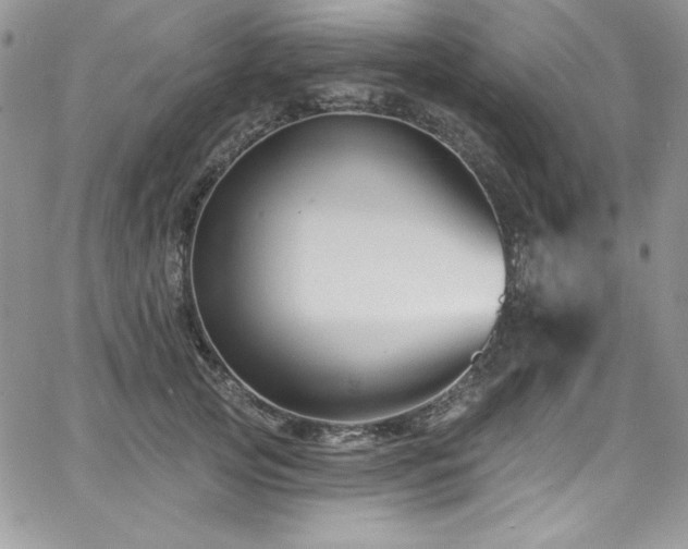 X0000068270753200604211110