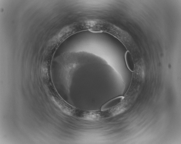 X0000068270754200604211110