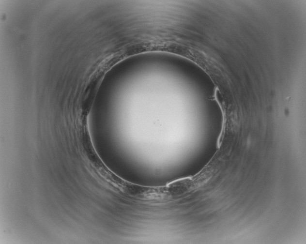 X0000068270756200604211110