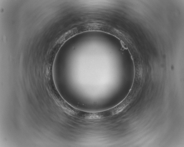 X0000068270759200604211110