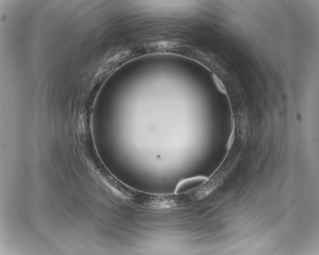 X0000068270760200604211110