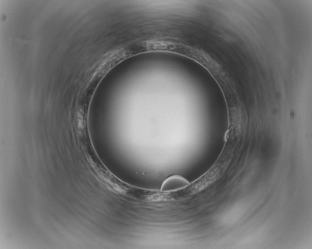 X0000068270761200604211110