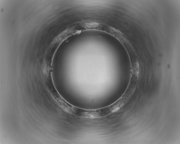 X0000068270763200604211110