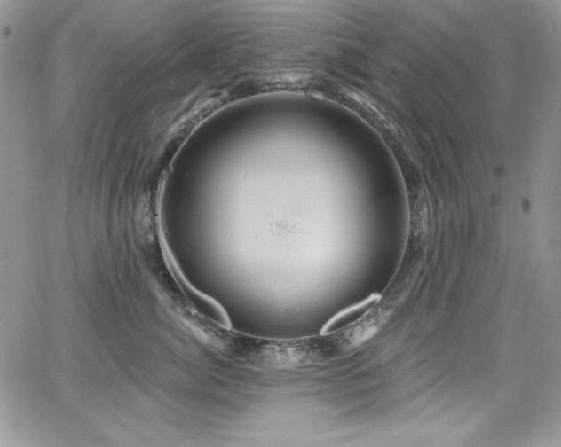 X0000068270764200604211110