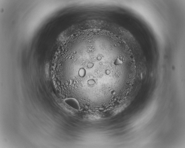 X0000068270765200604211110