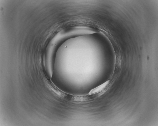 X0000068270766200604211110