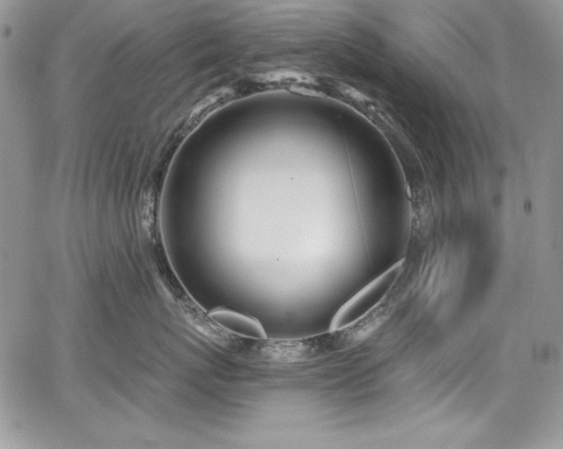 X0000068270767200604211110