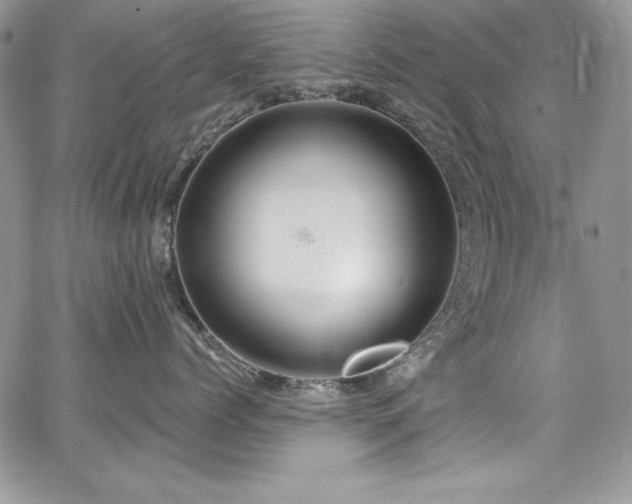 X0000068270768200604211110