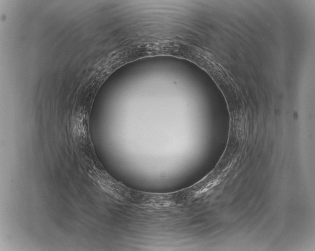 X0000068270770200604211109