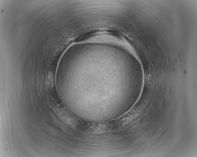 X0000068270772200604211109