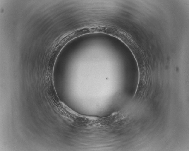 X0000068270773200604211109