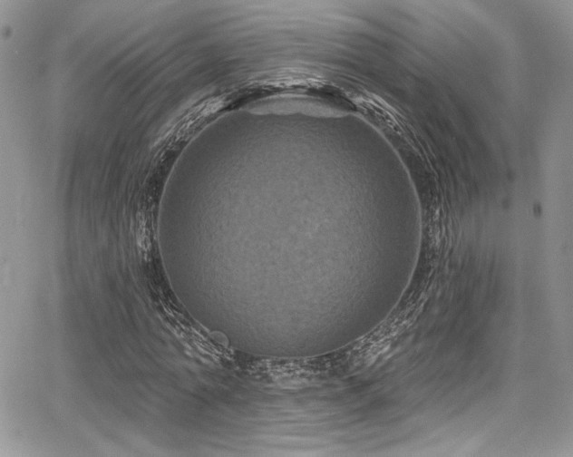 X0000068270774200604211109