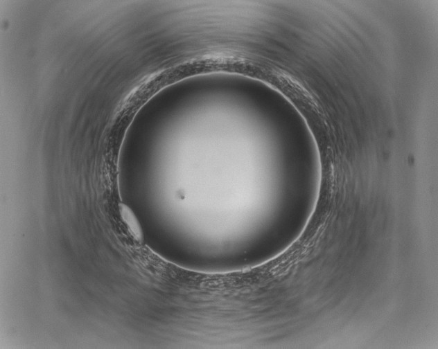 X0000068270776200604211109