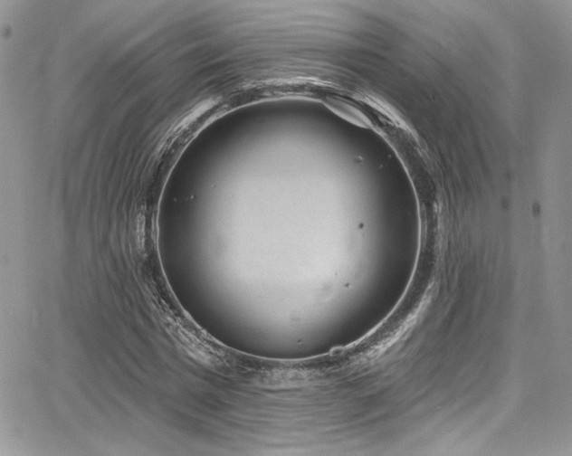 X0000068270777200604211109