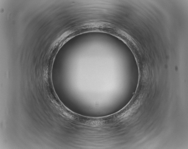 X0000068270778200604211109