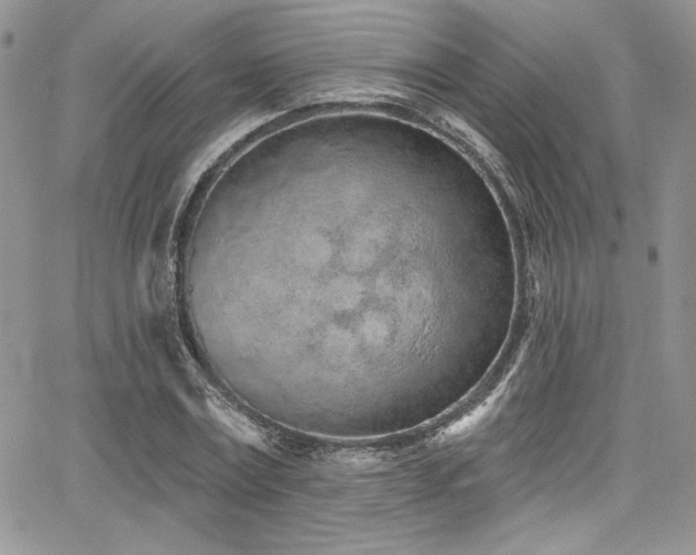 X0000068270779200604211109