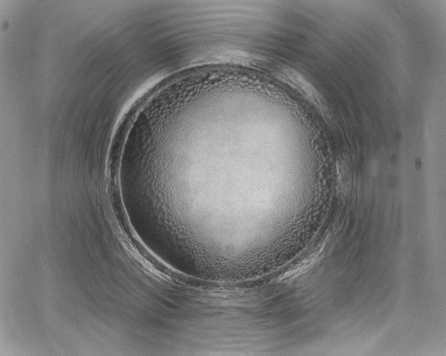 X0000068270780200604211109