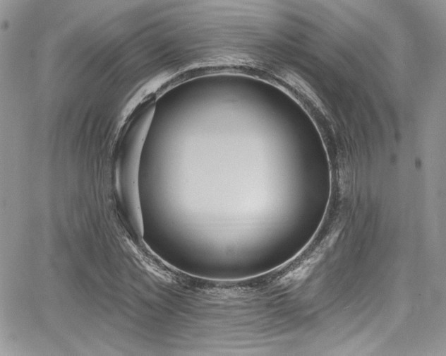 X0000068270781200604211109