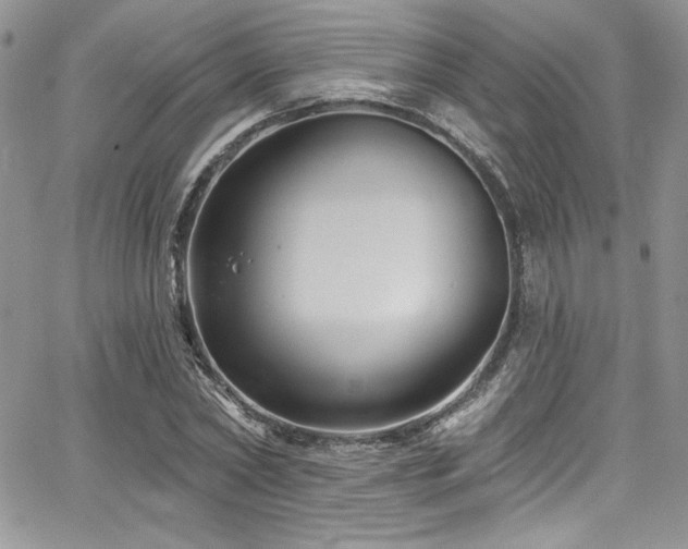 X0000068270782200604211109