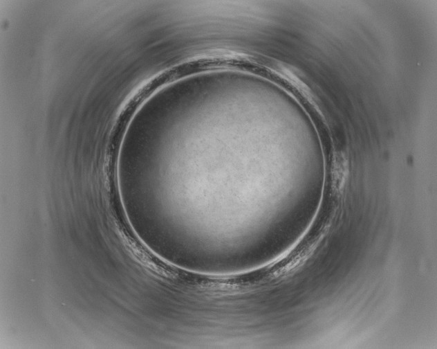 X0000068270783200604211109