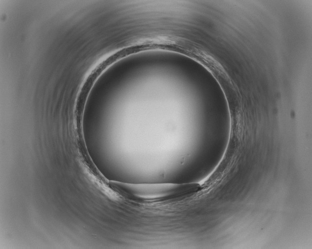 X0000068270784200604211109