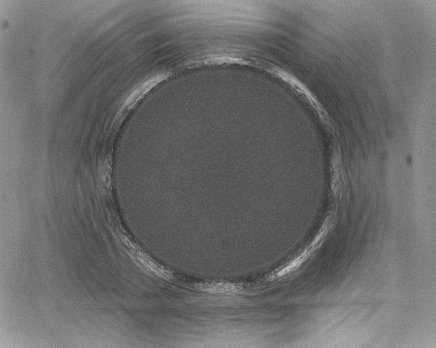 X0000068270785200604211109