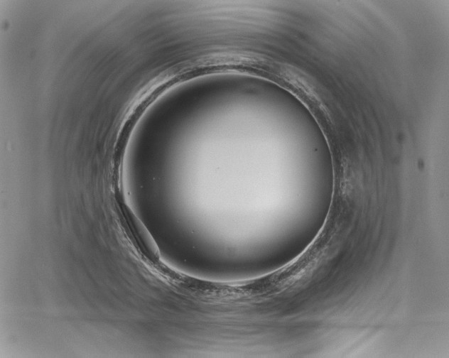 X0000068270786200604211109