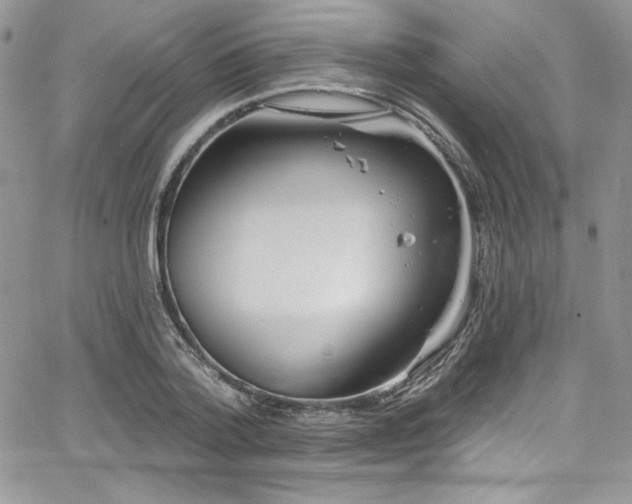 X0000068270788200604211109